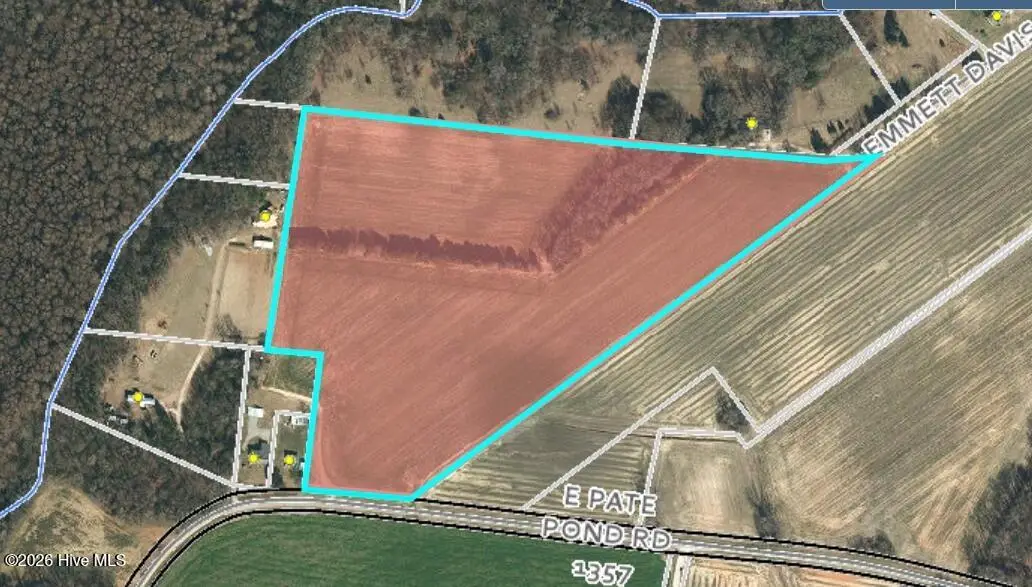 000 E Pate Pond Road, Mount Olive, NC 28365 - Image #1