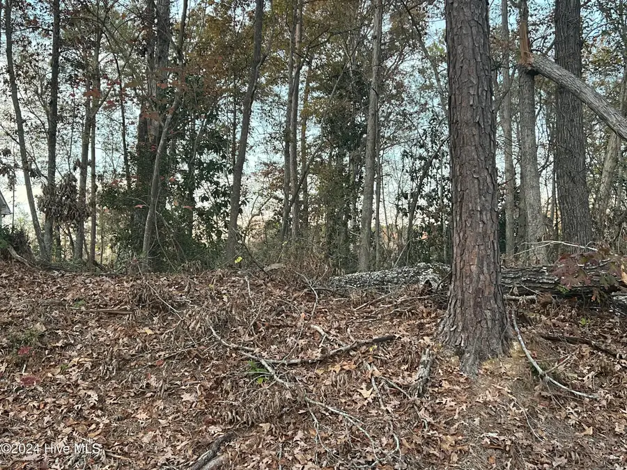 204 Lakeview Drive, Whispering Pines, NC 28327 - #2