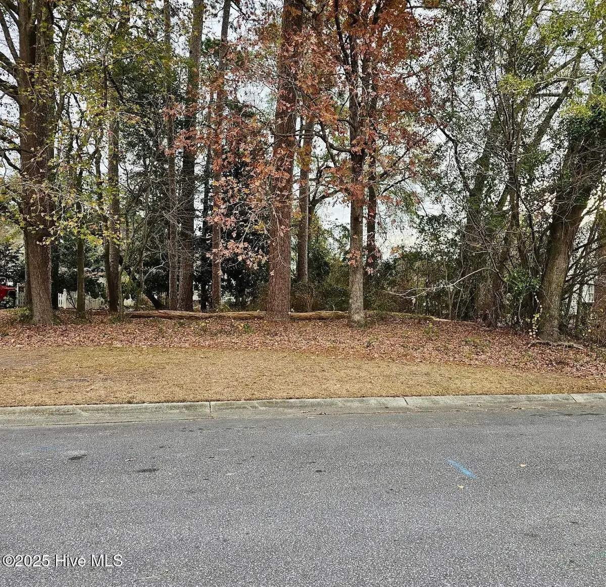 2905 Tacoma Drive, Kinston, NC 28504 - #1