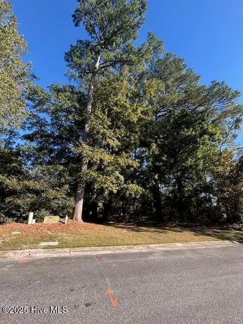 2905 Tacoma Drive, Kinston, NC 28504 - #2