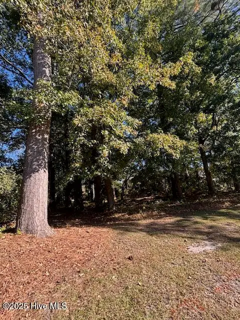 2905 Tacoma Drive, Kinston, NC 28504 - #3