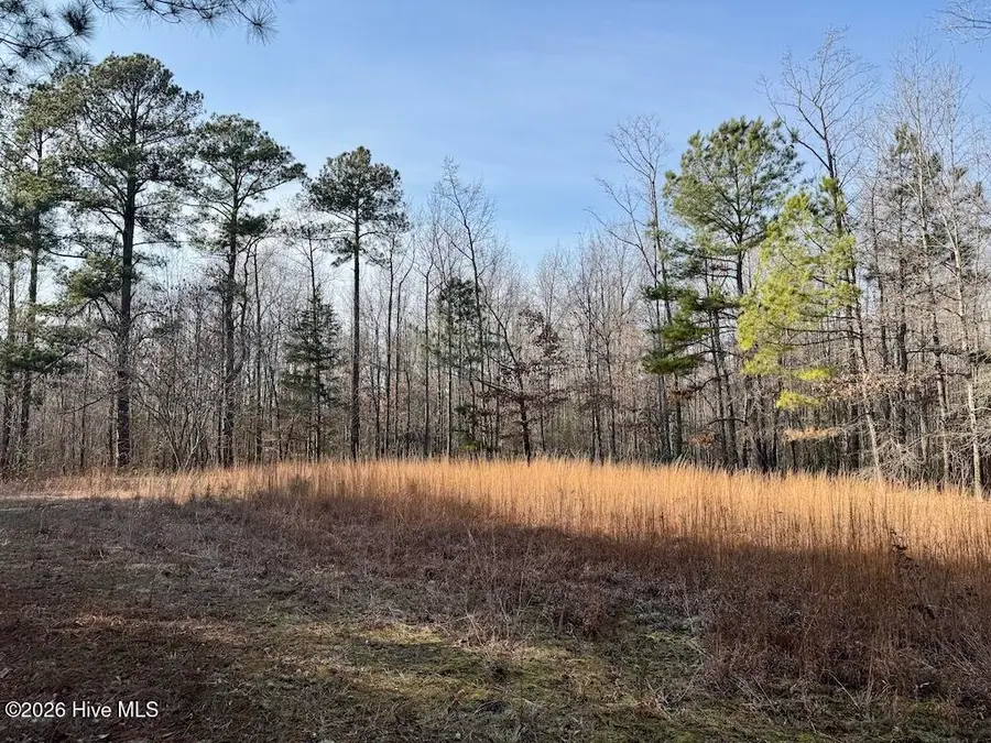 0 Nc-308, Rich Square, NC 27869 - #2