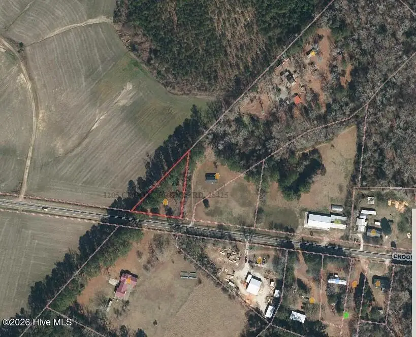 1205 Croomsbridge Road, Burgaw, NC 28425 - #1