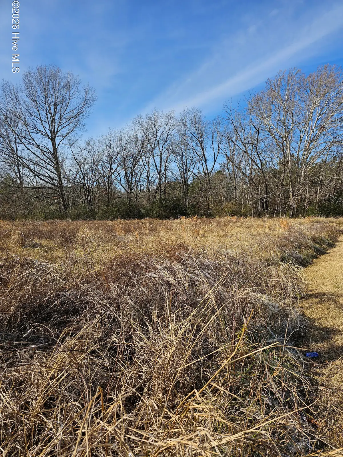 Tbd E Main Street, Woodland, NC 27897 - #1