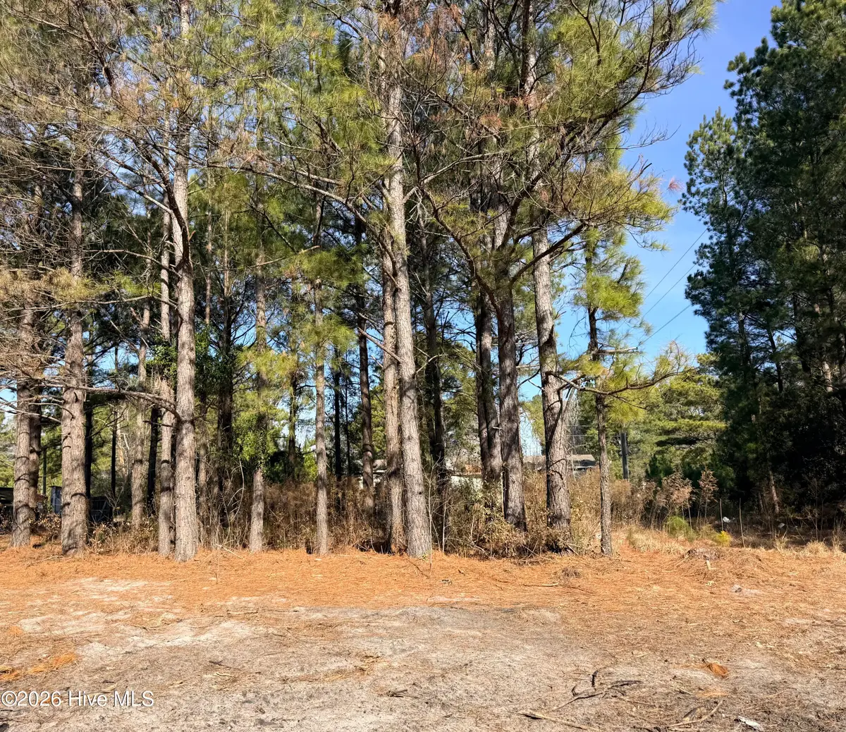 Lot 21 Branch Drive, Burgaw, NC 28425 - #1