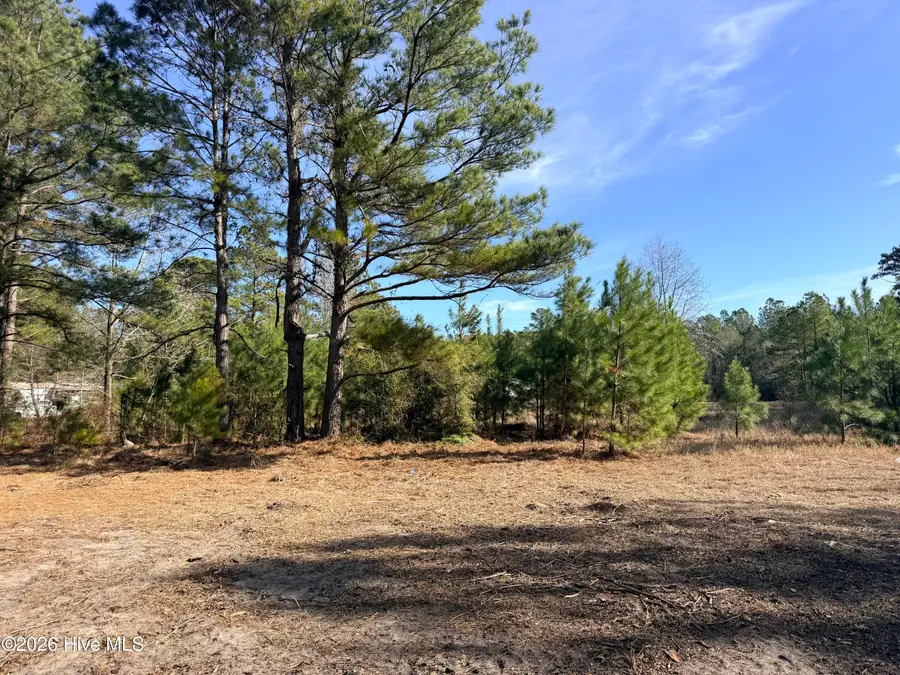 Lot 21 Branch Drive, Burgaw, NC 28425 - #2