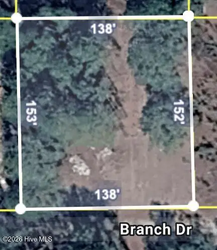 Lot 21 Branch Drive, Burgaw, NC 28425 - #3