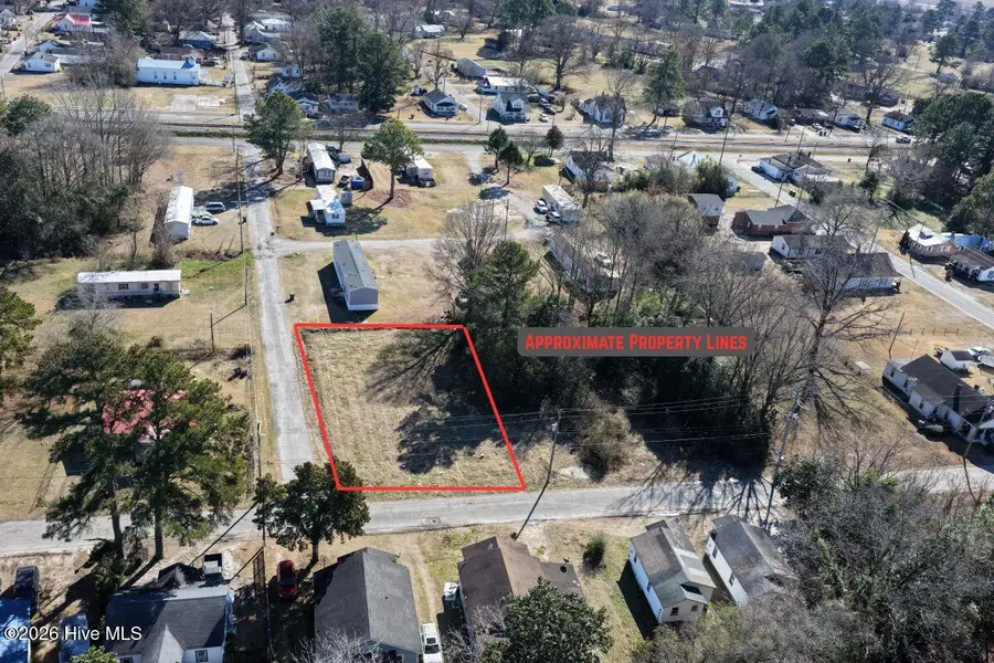 Off Of S Chestnut Street, Mount Olive, NC 28365 - #2