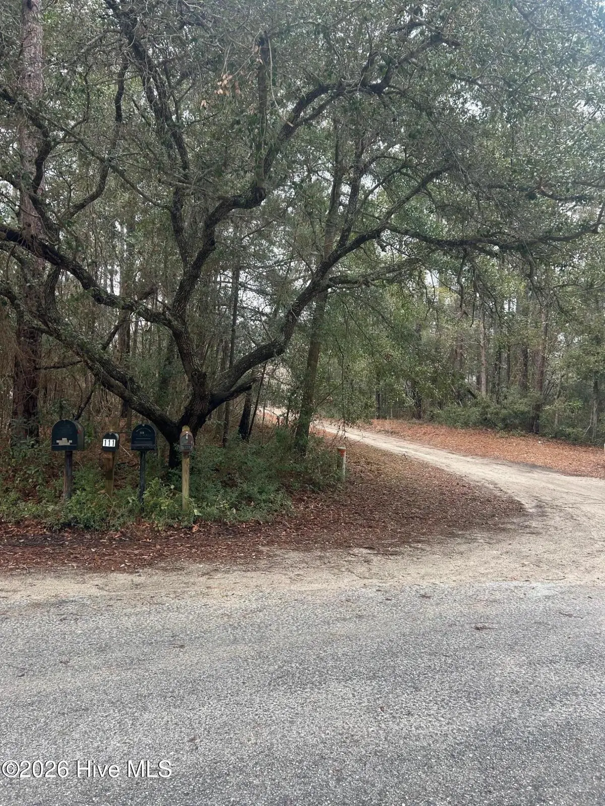 103 Dogwood Lane, Sneads Ferry, NC 28460 - #1