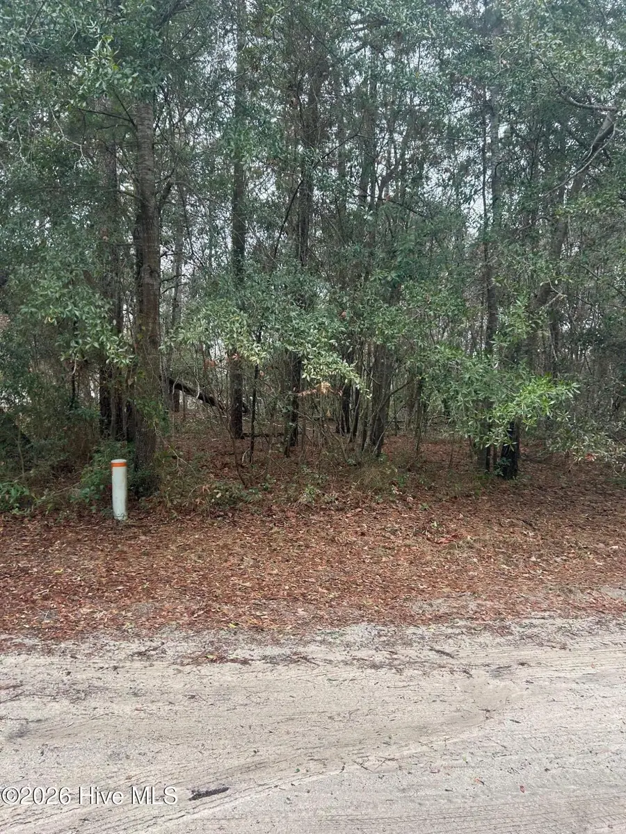 103 Dogwood Lane, Sneads Ferry, NC 28460 - #2