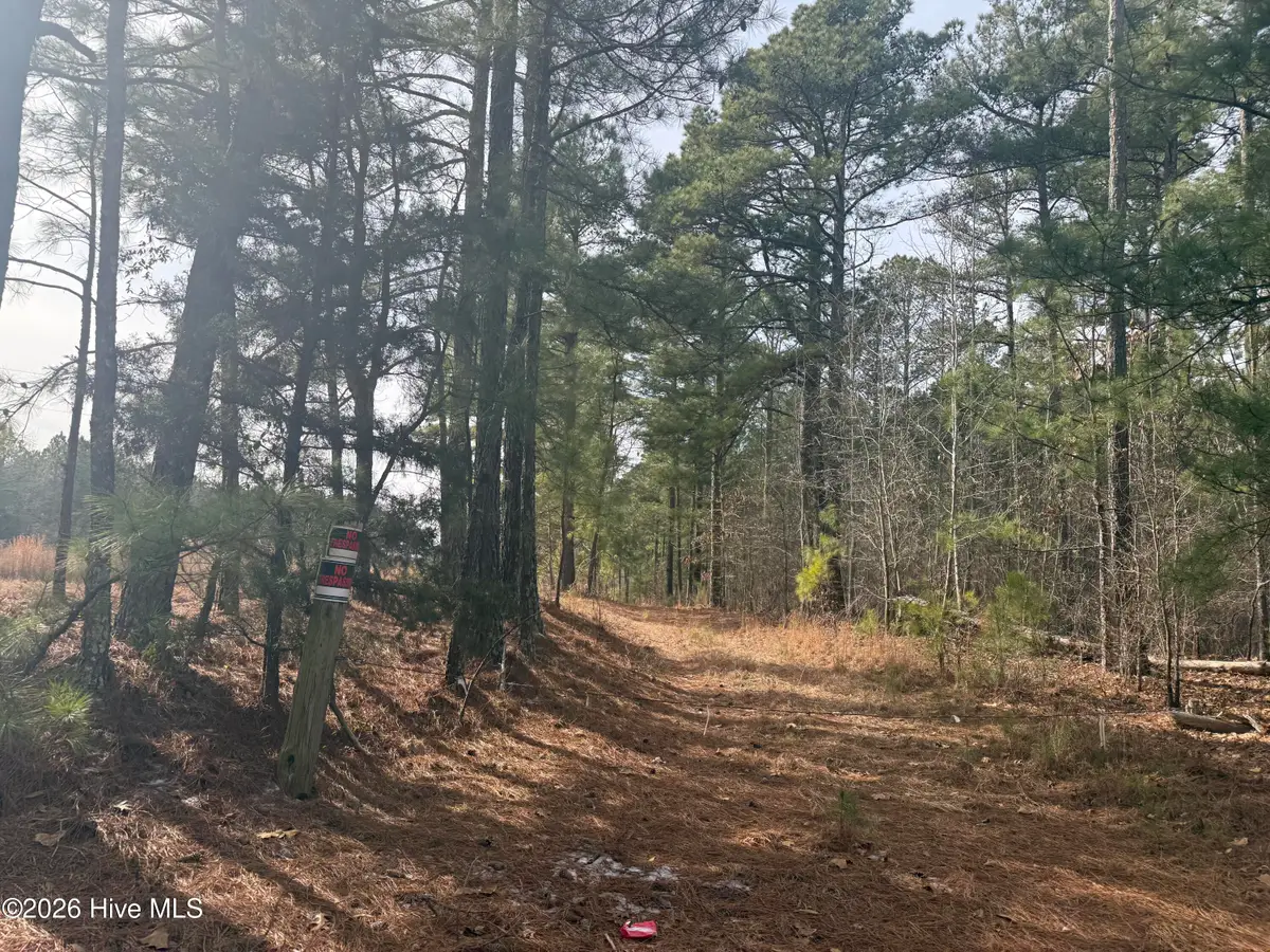 474 Stanton Hill Road, Cameron, NC 28326 - #1