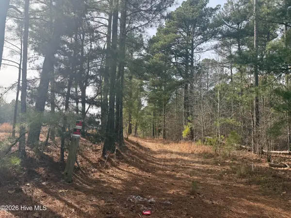 474 Stanton Hill Road, Cameron, NC 28326