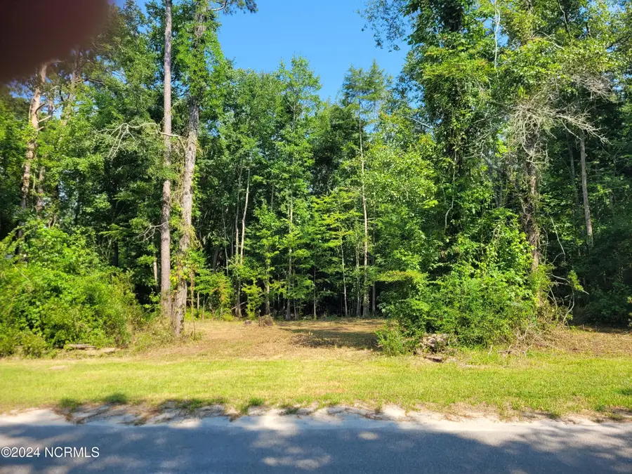 454 Creekview Lane Se, Leland, NC 28451 - #2