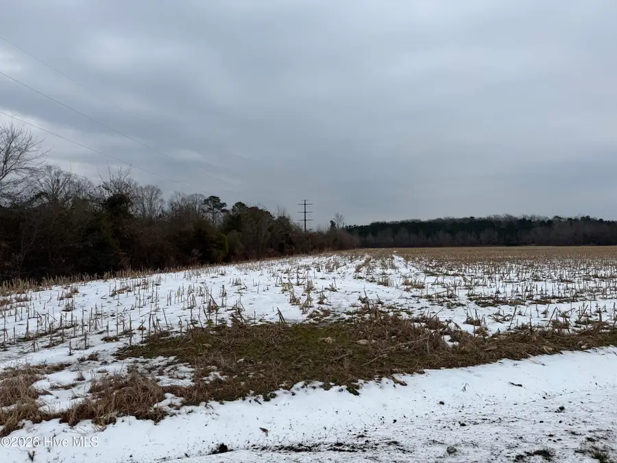 Lot 2 Beasley Road, Roper, NC 27970 - #2