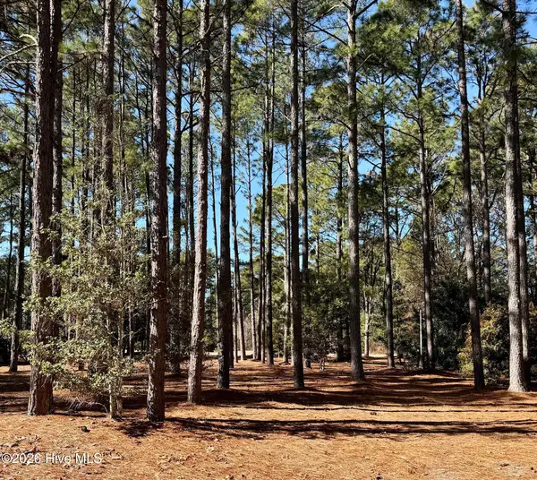 195 Erfie Drive N, Pinebluff, NC 28373