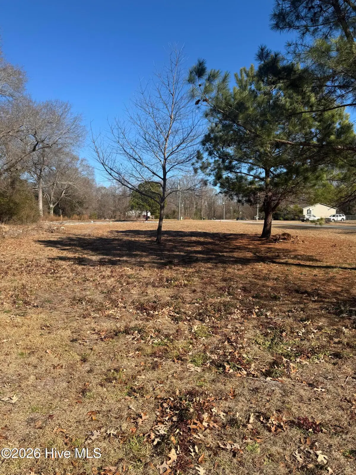 117 Old Beechtree Lane, Jacksonville, NC 28540 - Image #1