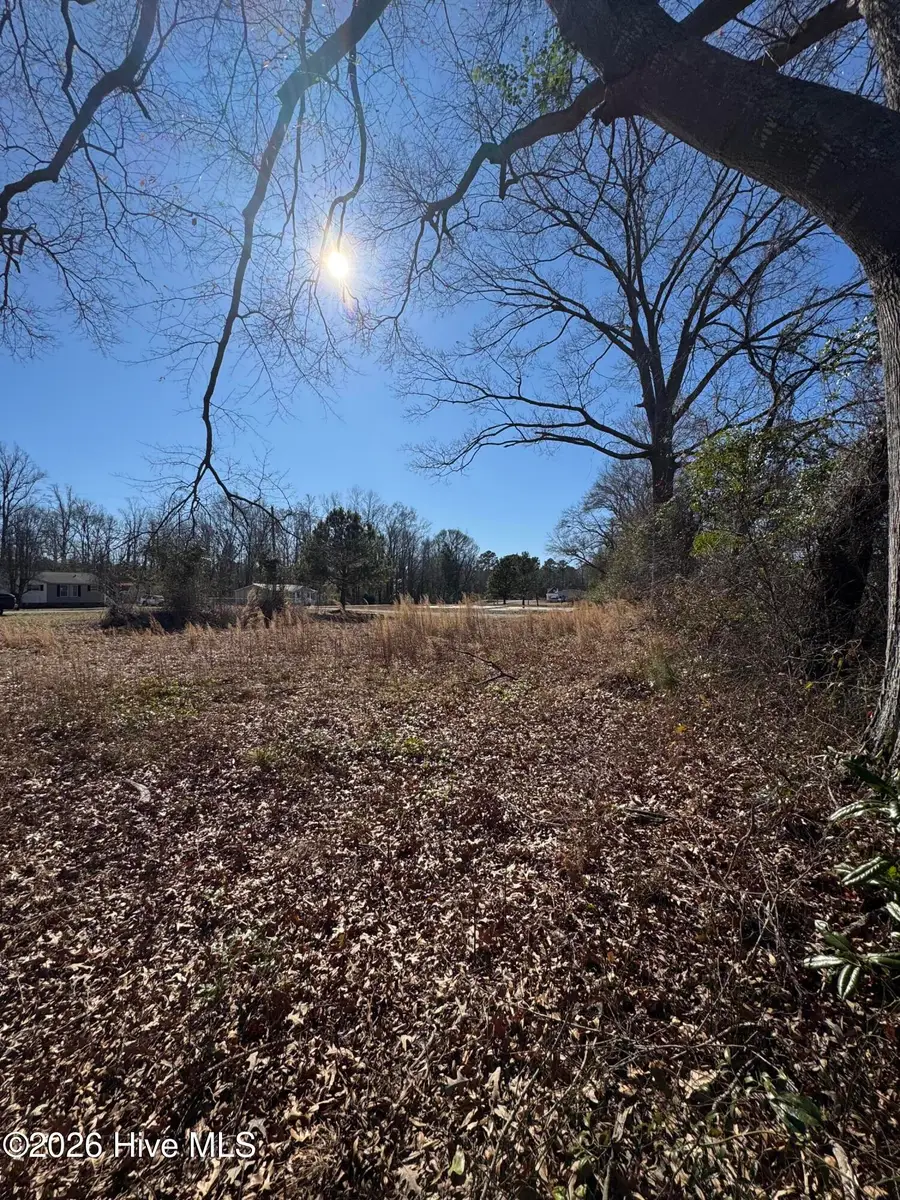 117 Old Beechtree Lane, Jacksonville, NC 28540 - Image #3