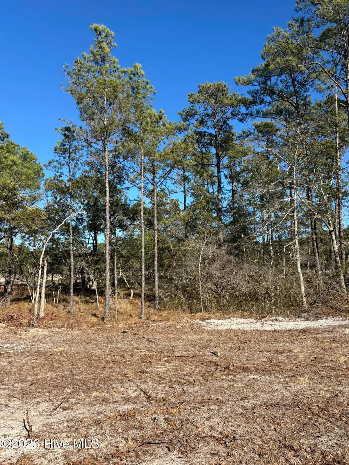 Lot 72 Peninsula Parkway, Southport, NC 28461 - #1