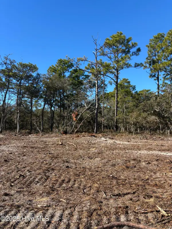 Lot 141 Coral Gull Street, Southport, NC 28461