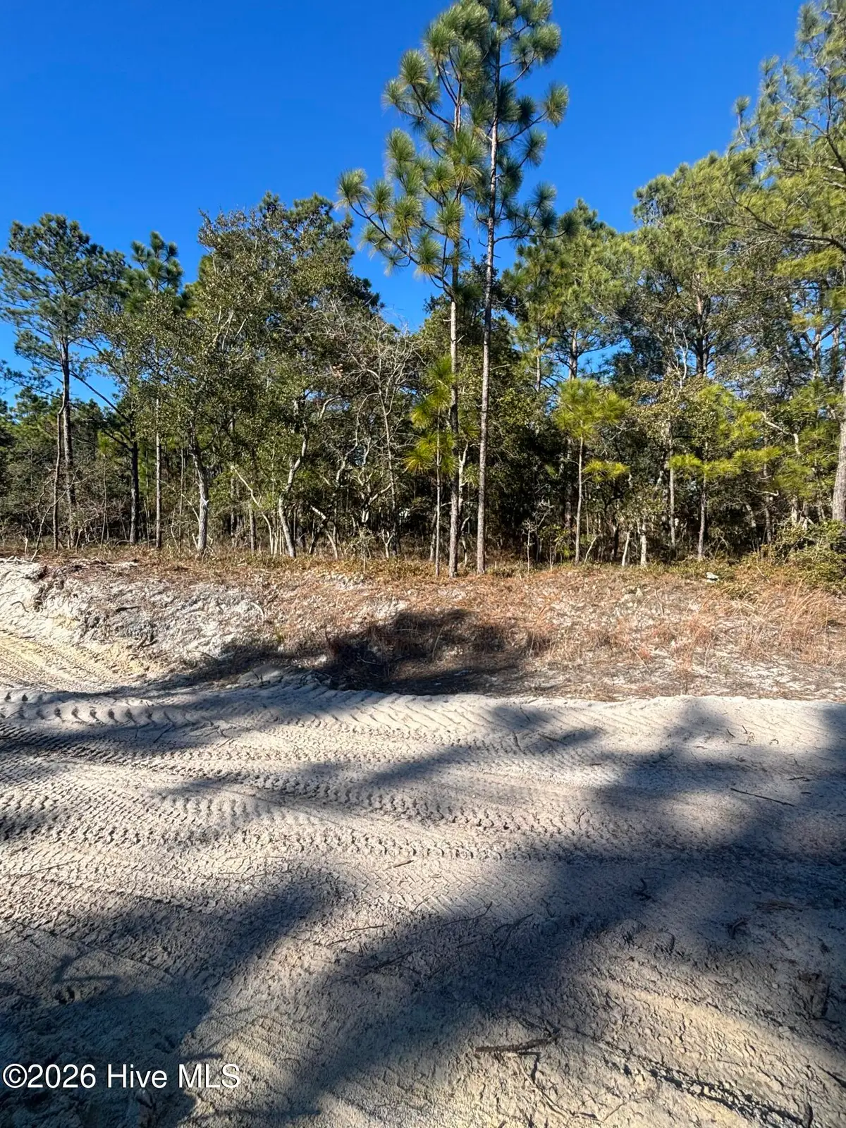 Lot 221 Starling Break Road, Southport, NC 28461 - #1