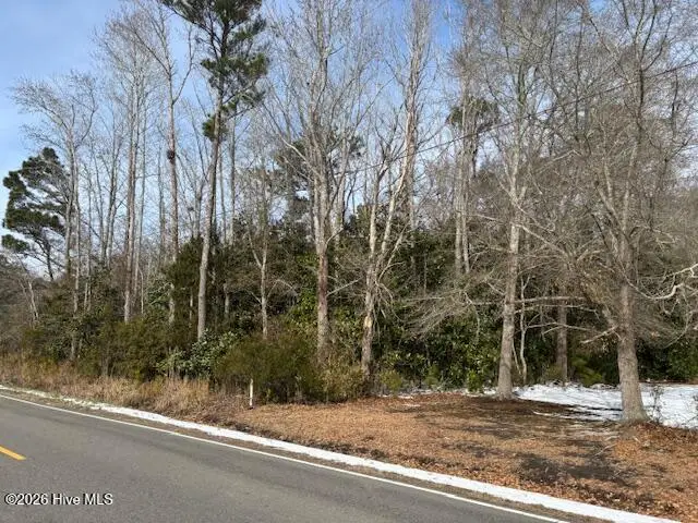 225 Hermitage Road, Castle Hayne, NC 28429 - #3