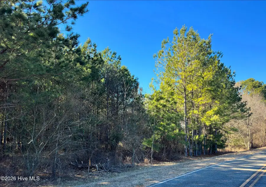 Tbd Horseshoe Road Road, Rockingham, NC 28379 - #2