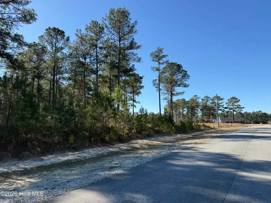 306 Livingston Court, Holly Ridge, NC 28445 - #3