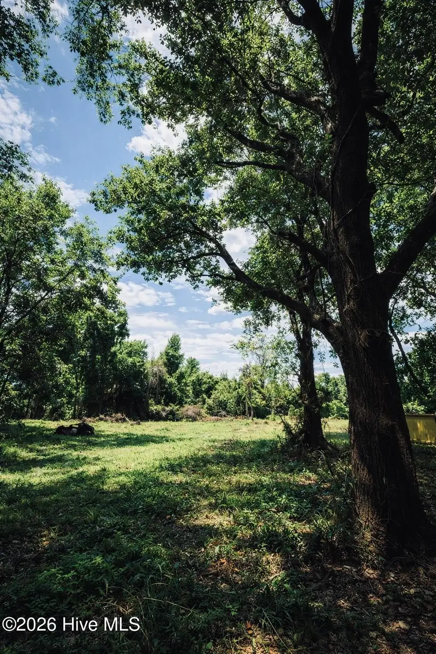 1805 Front Street, Burgaw, NC 28425 - #3