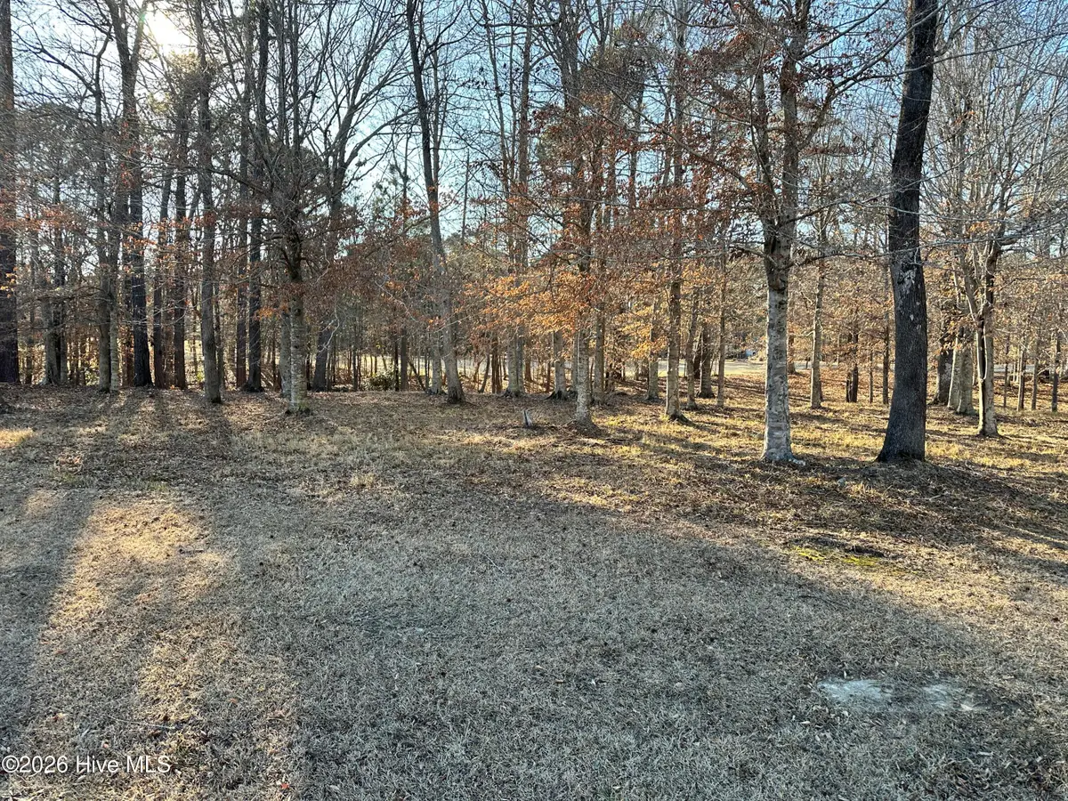 173 Roanoke Drive, Hertford, NC 27944 - #1