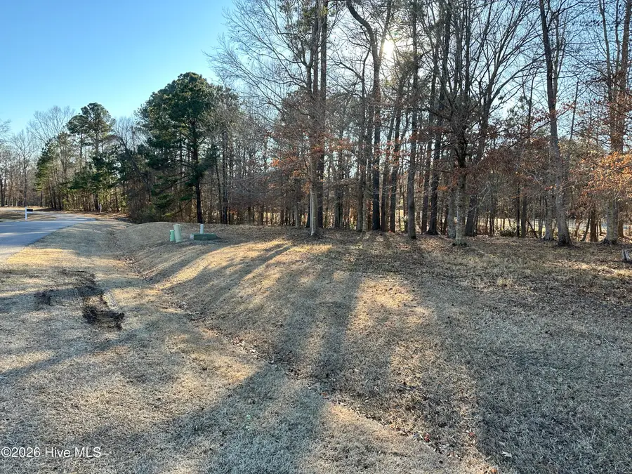 173 Roanoke Drive, Hertford, NC 27944 - #3