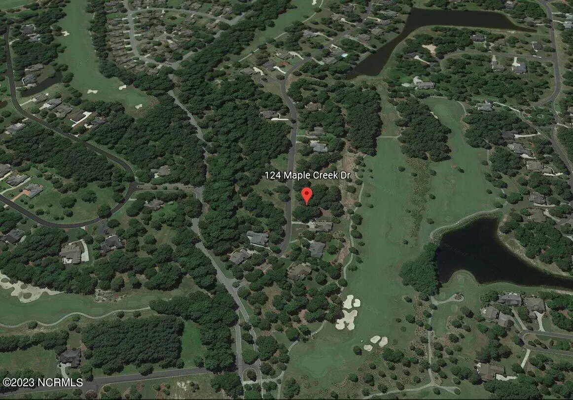 124 Maple Creek Drive, Wallace, NC 28466 - #1