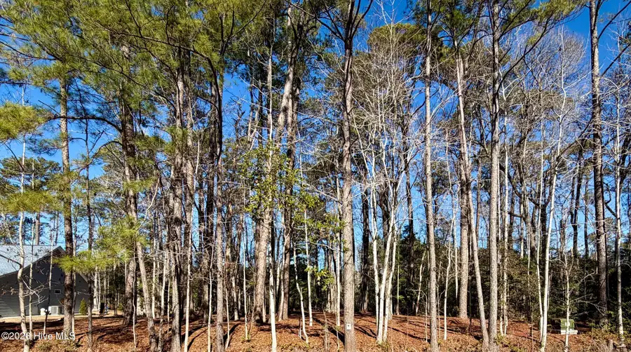 91 Northeast Drive Nw, Calabash, NC 28467 - #2