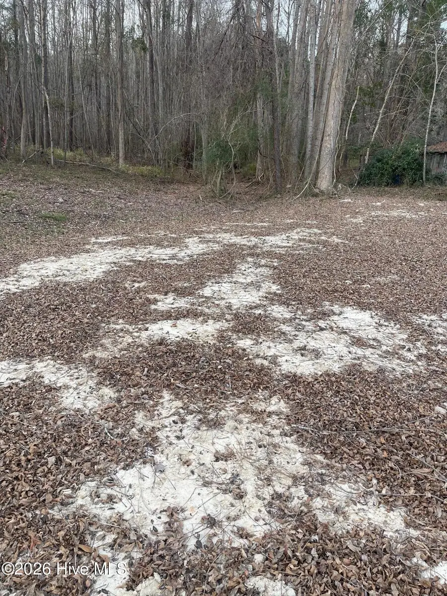 316 Bayview Road, Bayview, NC 27808 - #2