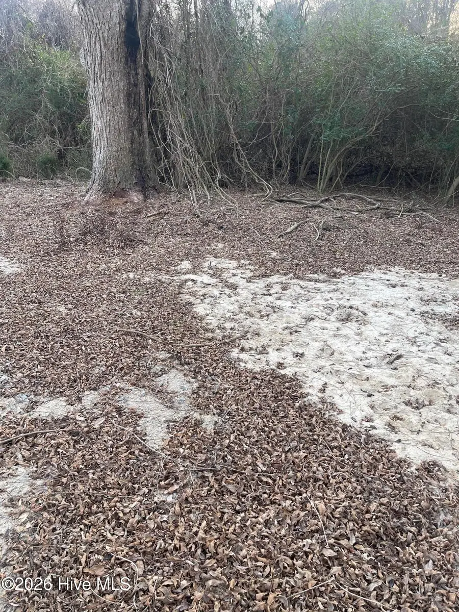 316 Bayview Road, Bayview, NC 27808 - #3