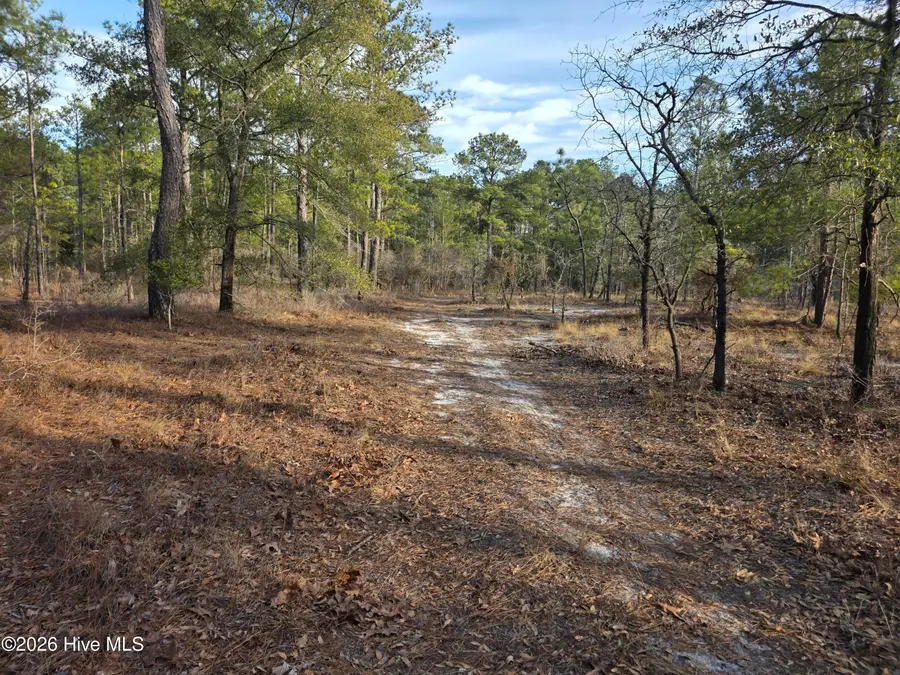 Lot 11 Meeks Creek Drive, Rocky Point, NC 28457 - #2