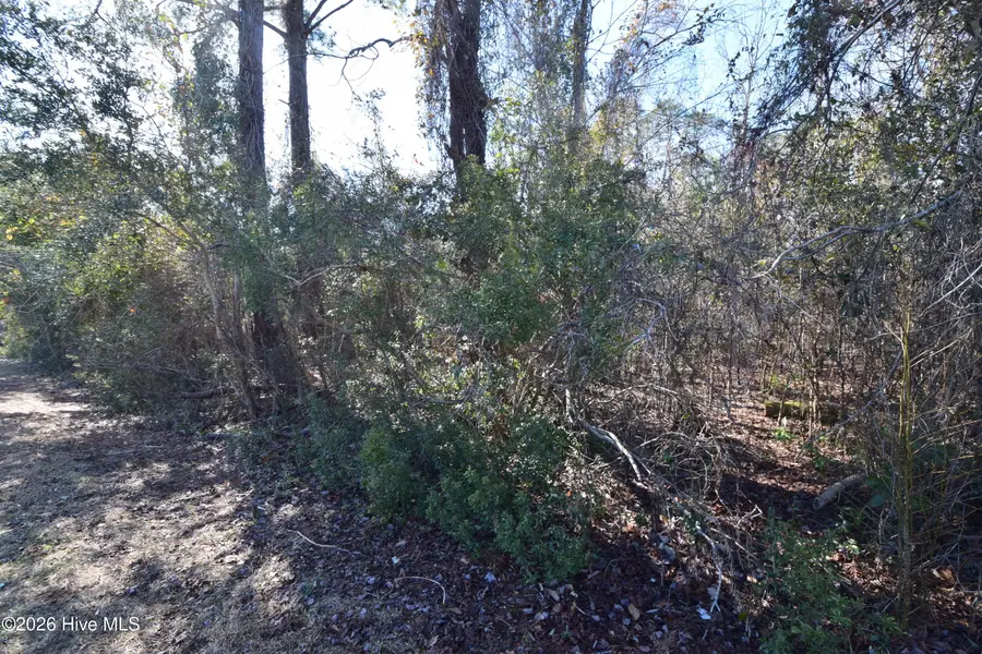 6109 Gondolier Drive, New Bern, NC 28560 - #2