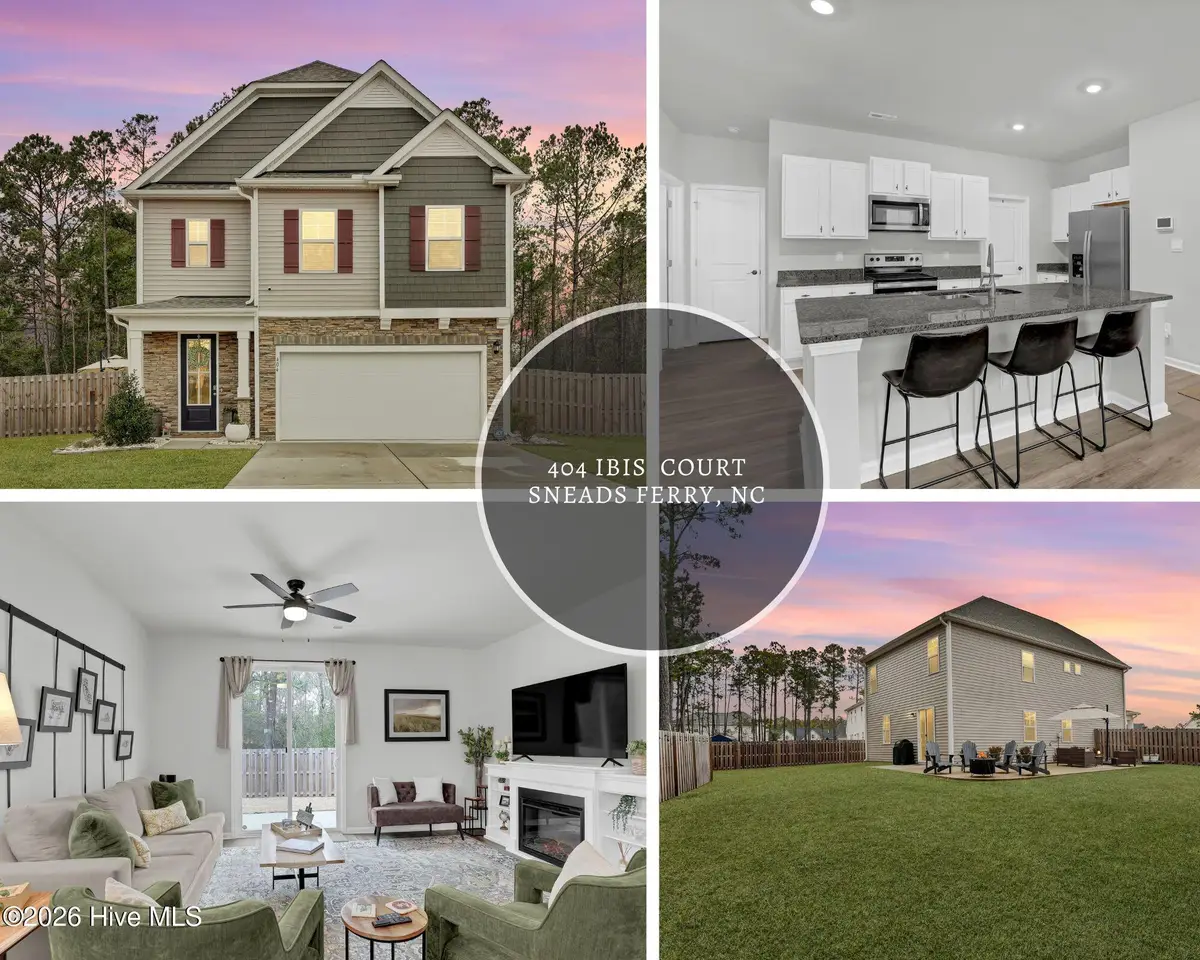 404 Ibis Court, Sneads Ferry, NC 28460 - #1