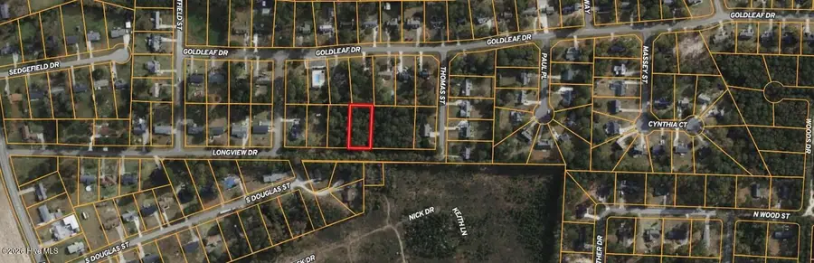 307 Longview Drive, Goldsboro, NC 27534 - #2