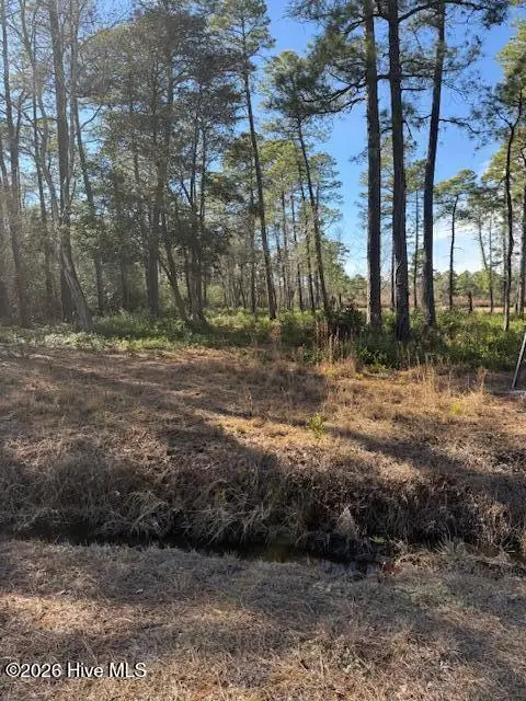 3671 Cactus Road, Winnabow, NC 28479 - #2