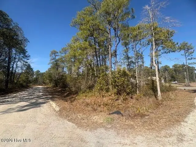 516 Barclay Road, Boiling Spring Lakes, NC 28461 - #3