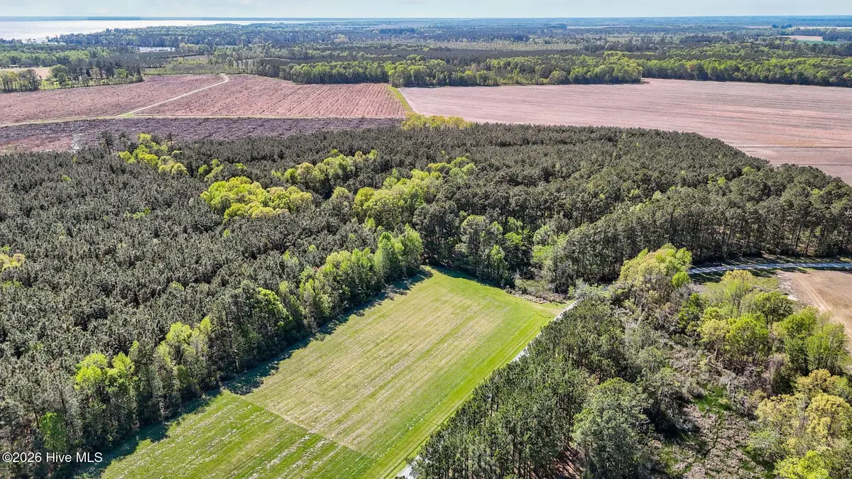 46 N Creek Drive, Belhaven, NC 27810 - #1