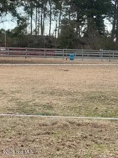 6205 Blossom Street, Castle Hayne, NC 28429 - #3