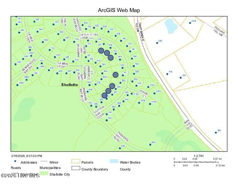 537 Glitter Bay Loop, Shallotte, NC 28470 - #1