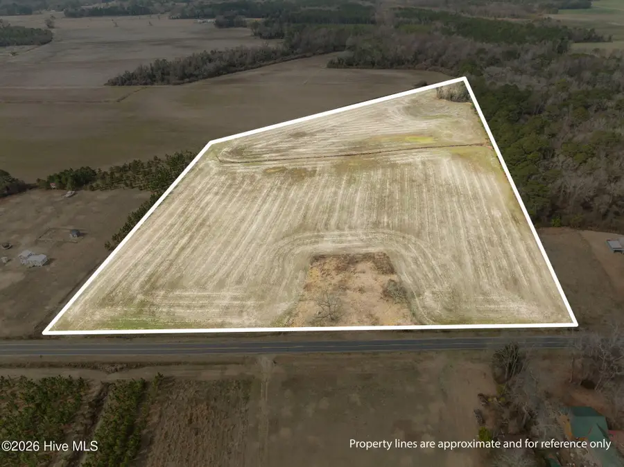 223 N Blizzard Town Road, Beulaville, NC 28518 - #2