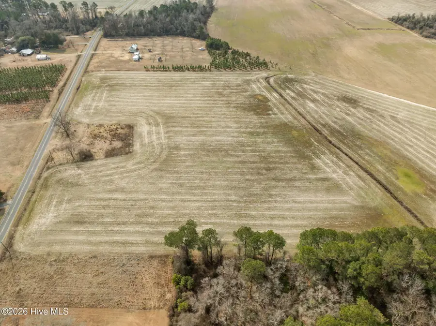 223 N Blizzard Town Road, Beulaville, NC 28518 - #3