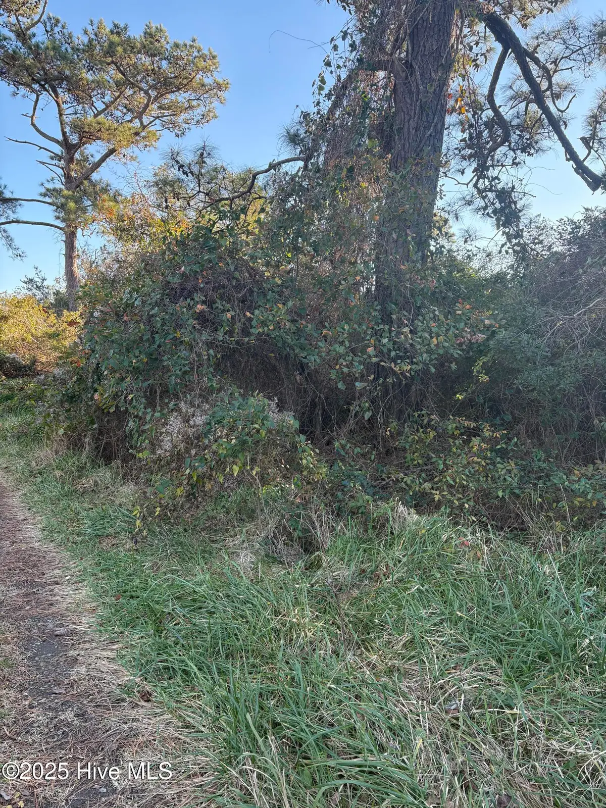 196 Styron Creek Road, Sealevel, NC 28577 - #1