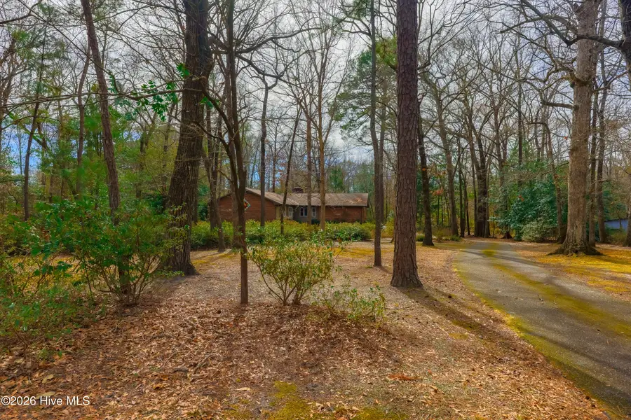 163 Washington Circle, Wallace, NC 28466 - #2