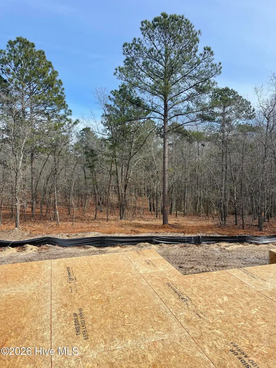 23 Forest Lake Drive, Jackson Springs, NC 27281 - #2