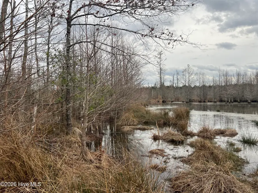 943 Off 943 Governors Rd Nc 308 Road, Windsor, NC 27983 - #2