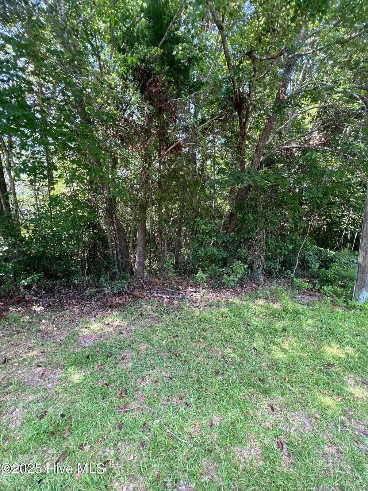 301 Spring Lake Drive, Pinehurst, NC 28374 - #1